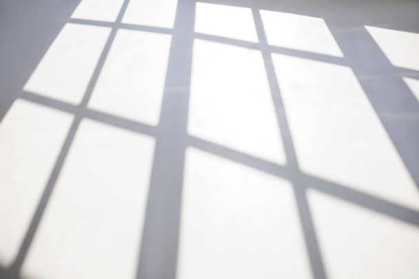 Window frames shadow on white floor in empty room. Background from light and shadow on white. Shadow silhouette of geometric shape. Clean white room with lattice shadows and free space for text - Foto, afbeelding
