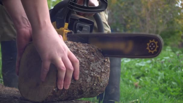 The chainsaw cuts the stump and sawdust fly in all directions and smoke - Footage, Video
