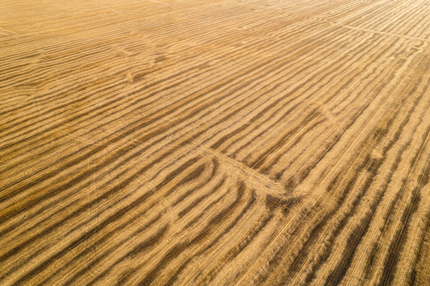 View from above field after harvest. Incredible landscapes and textures. The dug-up strips left by the combines form geometric lines stretching parallel to each other to the horizon - Fotoğraf, Görsel