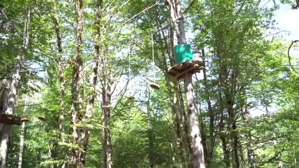 Πάρκο περιπέτειας με κυκλικούς λόγους και σχοινιά στα δέντρα - Πλάνα, βίντεο