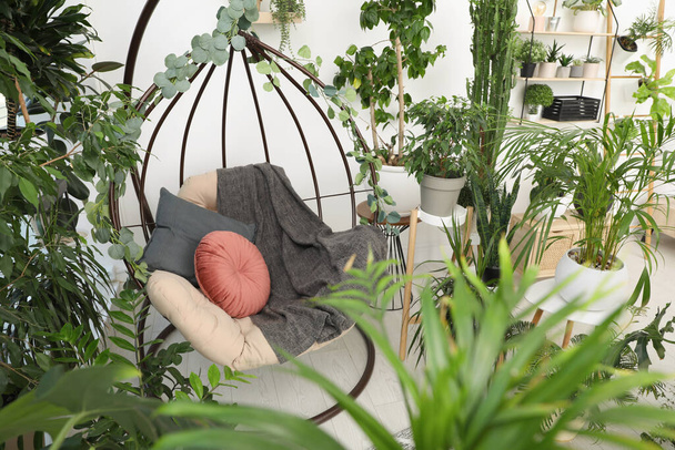 Comfortable egg chair and beautiful houseplants in room. Lounge zone interior - Fotografie, Obrázek