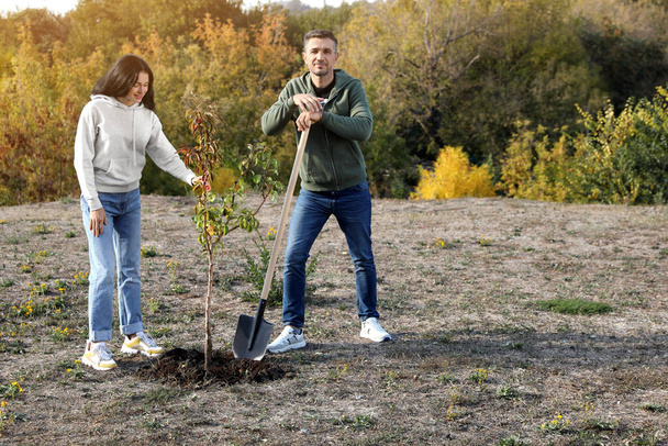 People planting young tree in park on sunny day, space for text - Foto, imagen