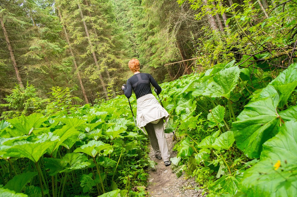 vrouw met hiking uitrusting wandelen in bergbos - Foto, afbeelding
