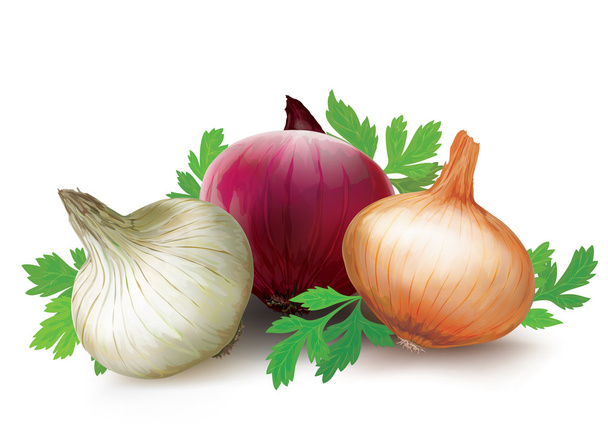 Onions of different colors - Vector, Image