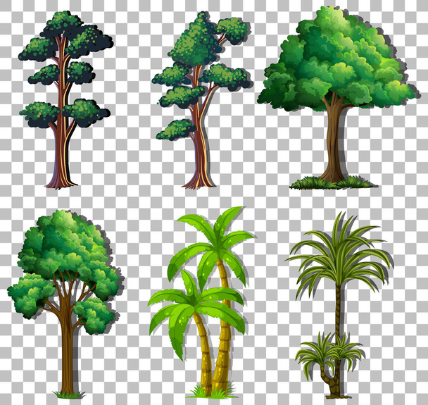 Набор разнообразных деревьев на прозрачной фоновой иллюстрации - Вектор,изображение