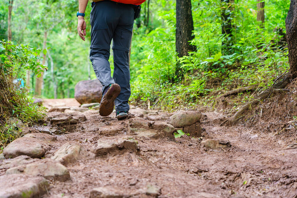Sırt çantalı turistler ormanda yürüyüş yapıyor. Yağmur ormanlarında yürürken çamurla kaplı ayakkabılı bir yürüyüşçü. Yürüyüş yolu. - Fotoğraf, Görsel