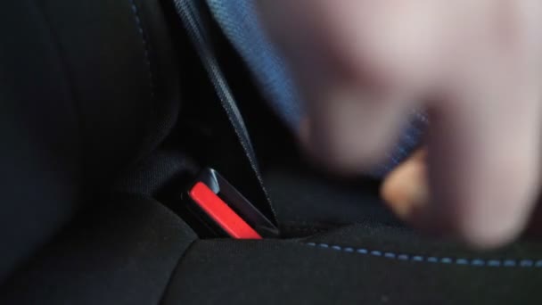 Pasajero se abrocha el cinturón de seguridad sentado dentro del automóvil - Metraje, vídeo