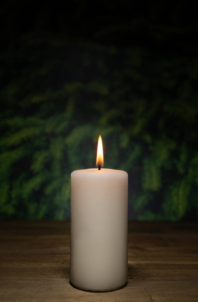 A white burning candle on a wooden table; dark background with pine tree and copy space - Photo, Image
