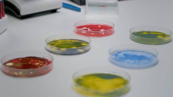 Detailní záběr laboratorní Petriho misky s biologickou tekutinou - Fotografie, Obrázek