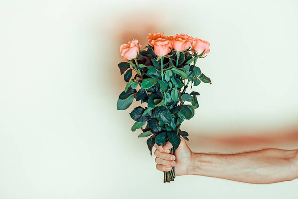 mannelijke hand houden romantische boeket van zachte roze rozen op pastel gele achtergrond Vakantie bloemenkaart. - Foto, afbeelding