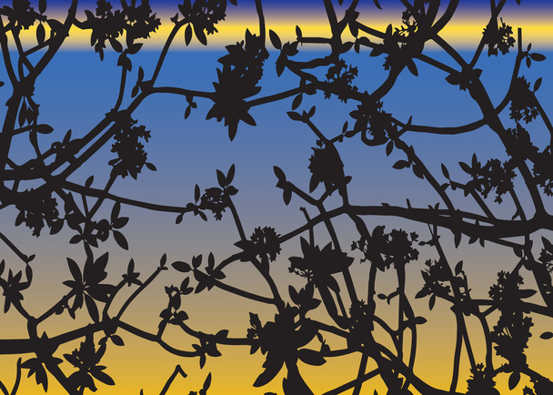 Тень листьев виртуального переносчика бактерий на закате
 - Вектор,изображение