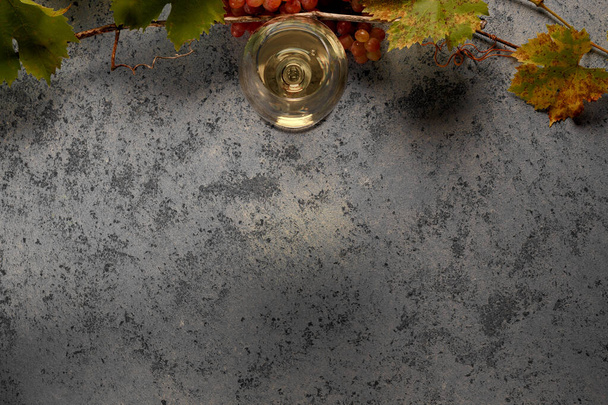 Fehér bor egy pohárban, szőlő és szőlő ágak az asztalon. Első látásra. Másolás helyet az SMS-ben. - Fotó, kép