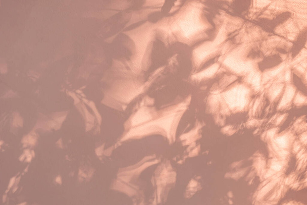 Levélárnyék és faág a falon. Természet levelek rózsaszín rózsa arany árnyék és a fény a napfény a fal textúra háttér. Shadow overlay hatás lombozat mockup, banner grafikus layou - Fotó, kép