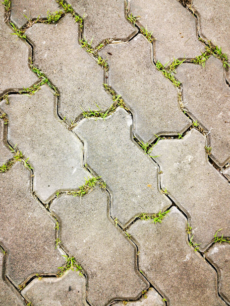 A vertical shot of paving with grass growing in between - Фото, зображення