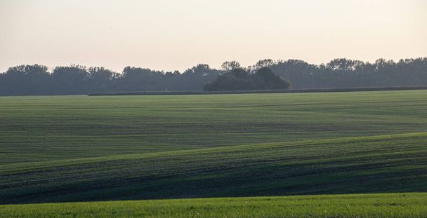 Panorama der grünen Sommerwiese. Europäische ländliche Sichtweise. Schöne Landschaft aus Weizenfeld und grünem Gras mit atemberaubendem Himmel. - Foto, Bild