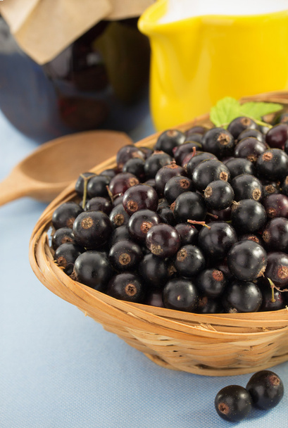 black currants in bowl - Photo, image