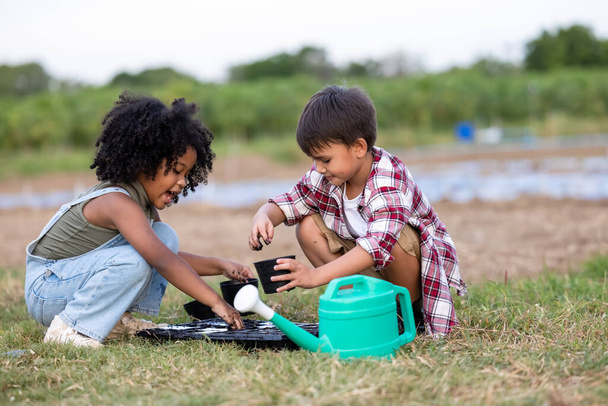 Американские афроэтнические дети готовят почву, помещенную в контейнер, и поливают ее, чтобы она была влажной для посадки саженцев для выращивания овощей на сельскохозяйственной ферме, дети играют в посев овощей, выращивающих овощные образовательные растения в летней концепции  - Фото, изображение