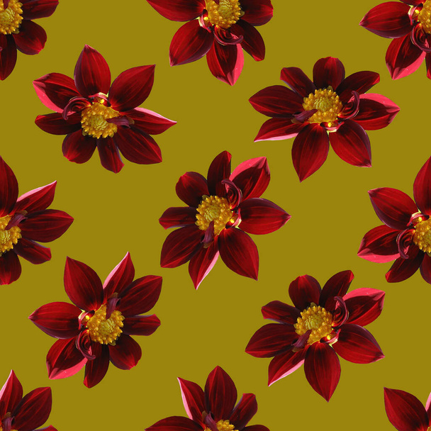 Burgundy dahlia flower seamless pattern. The texture of the burgundy dahlia flower.  - Photo, Image