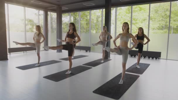 Εκπαίδευση χορού. Ομάδα νεαρών επαγγελματιών χορευτών ζεσταίνουν τα πόδια, γυμνάζονται μαζί στο στούντιο χορογραφίας - Πλάνα, βίντεο