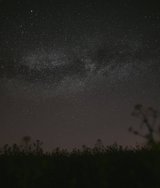 Астрофотография дерева и Млечного Пути выше. Полночное небо на севере Польши - Фото, изображение