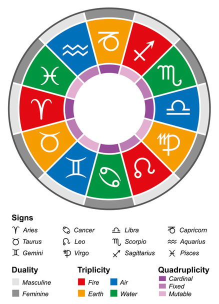 astroloji zodyak bölünmeler beyaz - Vektör, Görsel