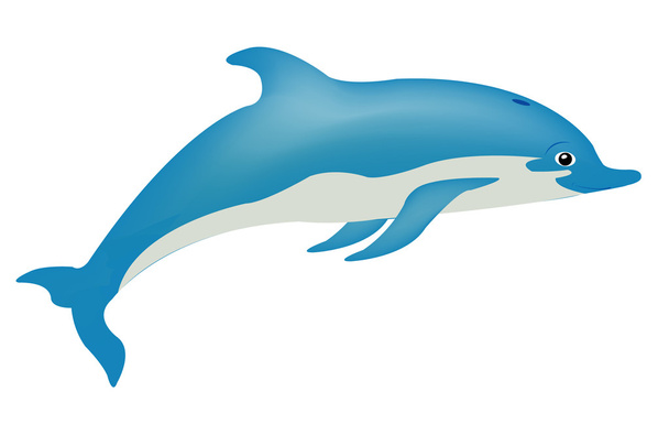 Fish dolphin on white - Вектор, зображення