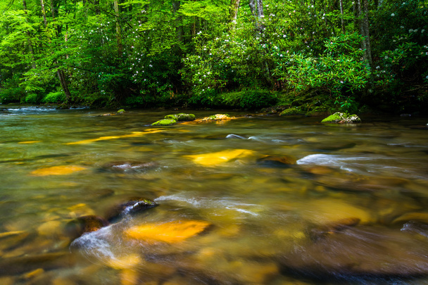 Cascades in the Oconaluftee River, at Great Smoky Mountains Nati - Fotoğraf, Görsel