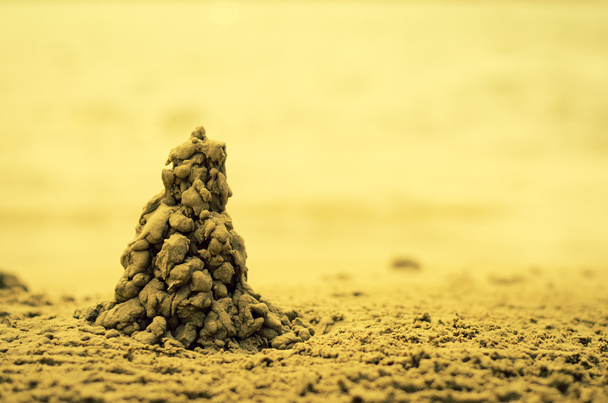 árbol de arena sepia tonelada
 - Foto, imagen