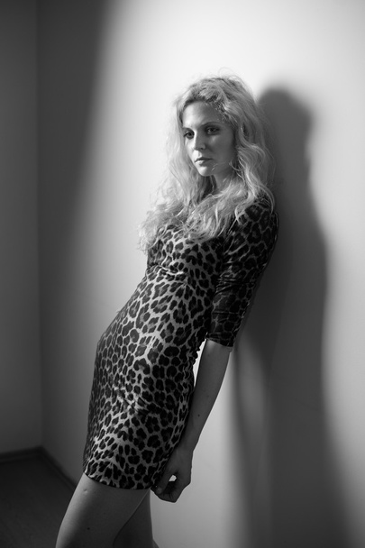 Attractive sexy blonde in animal print tight fit short dress posing provocatively indoor. Portrait of sensual woman in classic boudoir scene against a wall. Beautiful fair hair female, black and white - 写真・画像