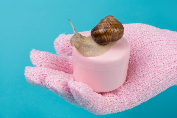 hand in pink glove holds pink container for cosmetics, snail sits on top, concept, on turquoise background, copy space - 写真・画像