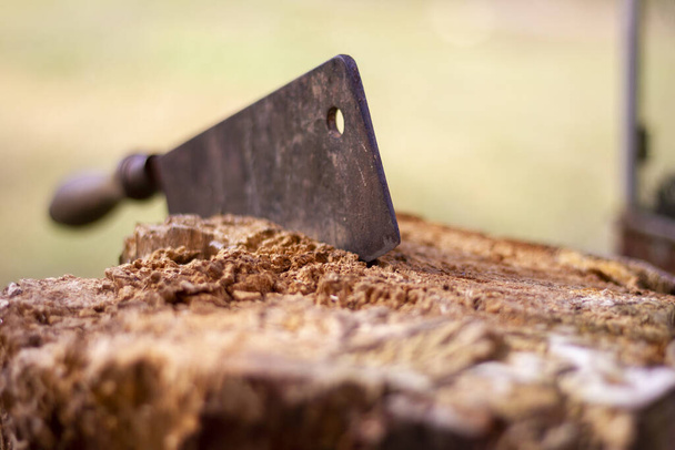 An old ax in the wood on a blurred background - Foto, Imagen