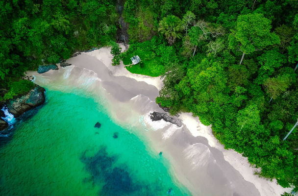 An aerial view of a beach, sand, and trees - Photo, image