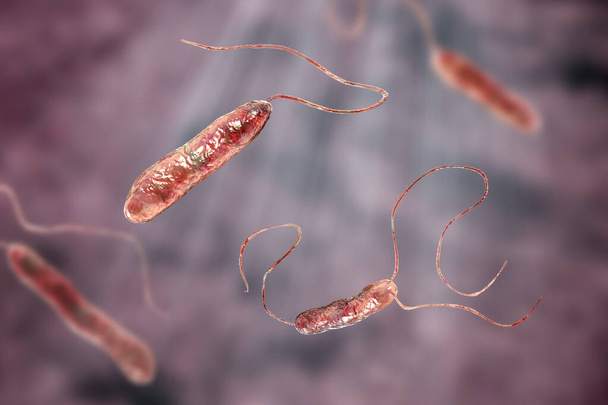 Naukowy wizerunek motile flagelled bakterie. Bakteria Stenotrophomonas maltophilia, ilustracja 3D. Bacilli, które powodują zakażenia szpitalne, zapalenie wsierdzia, zakażenia ran, bakteriemię i inne - Zdjęcie, obraz