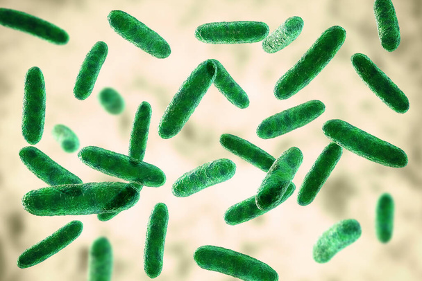 Immagine scientifica di batteri Citrobacter, batteri Gram-negativi della famiglia Enterobacteriaceae, illustrazione 3D. Trovato nell'intestino umano, può causare infezioni urinarie, meningite infantile e sepsi - Foto, immagini
