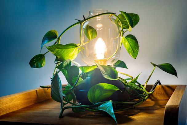 Çevrede sürdürülebilir enerji ve CO2 azaltımının bir sembolü olan Kavram, yapraklarla çevrili şık bir lamba, yeşile düşen canlı renkler yayıyor.  - Fotoğraf, Görsel