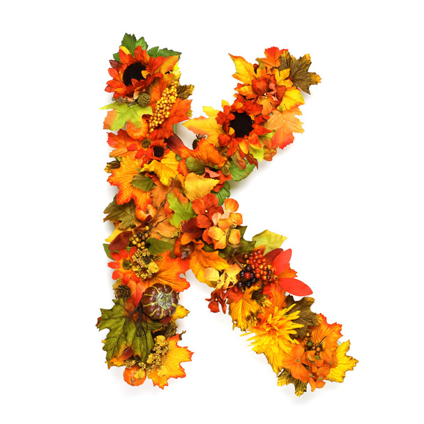 Autumn alphabet - Photo, Image