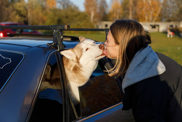 Chica joven besa a un perro husky que mira por la ventana del coche - Foto, imagen