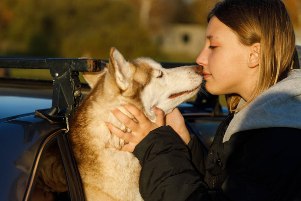 Fiatal lány megcsókol egy husky kutyát, ami kinézett a kocsi ablakán. - Fotó, kép