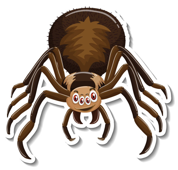 Wild pavouk kreslený nálepka na bílém pozadí ilustrace - Vektor, obrázek