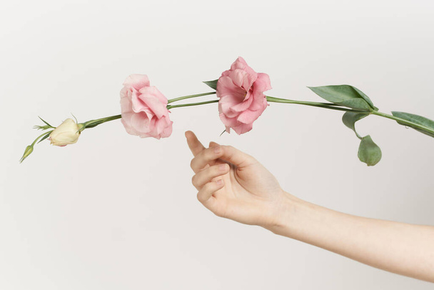 female hand flowers decoration fashion light background - Foto, immagini
