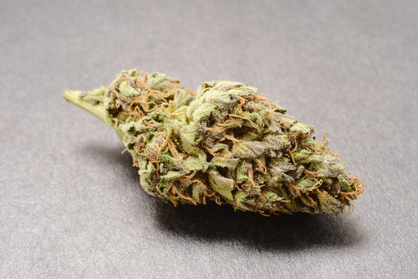 Vista macro de una floración de cannabis, mclose-up. Brote medicinal CBD con tricomas sobre fondo de papel negro. Cepa GG4 (pegamento de gorila).  - Foto, Imagen