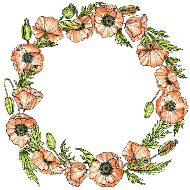 Corona de amapolas en tinta y acuarela. Chaplet de flores silvestres en blanco. Ilustración hecha a mano. Para invitación, tarjeta - Foto, imagen