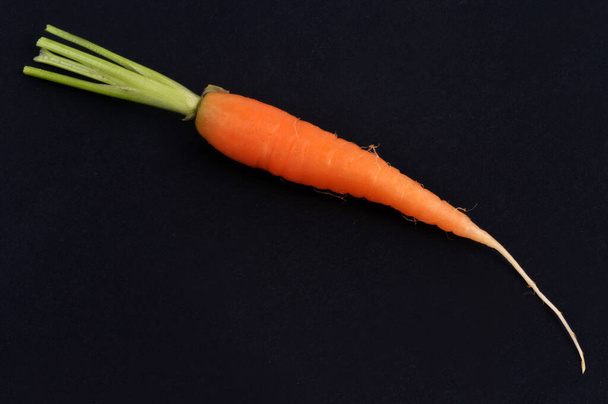 Organic raw carrot close up on black background  - Photo, Image