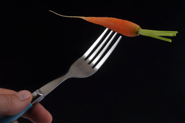 Organic raw carrot pricked on a fork close-up on black background - 写真・画像
