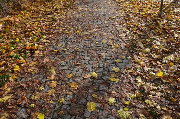 不規則な形の花崗岩の自然な舗装公園の歩行者ゾーンで茶色の灰色の舗装。ぬれた葉は路面を覆い滑りやすい。高齢者や定年退職者が - 写真・画像