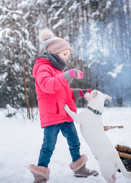 Маленькая девочка в яркой куртке играет в зимнем заснеженном лесу со своим собачьем Джеком Расселом терьером - Фото, изображение