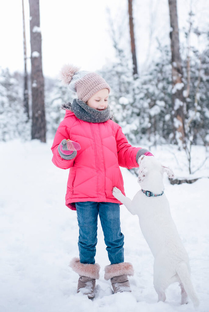 Niña con una chaqueta brillante juega en el bosque nevado de invierno con su perro jack russell terrier - Foto, imagen