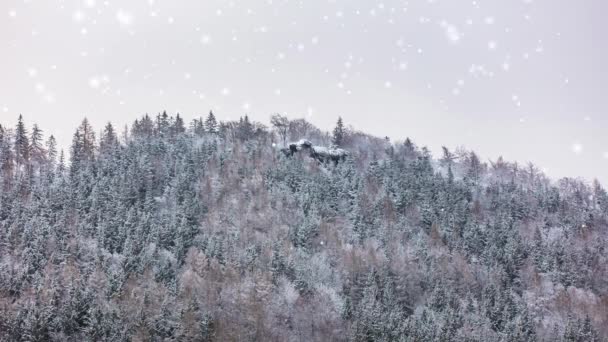 snow Tatry mountains in winter time. Animated video with snow fall - Footage, Video