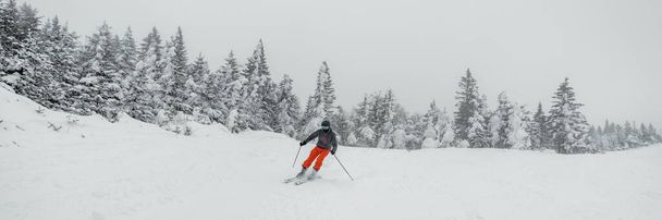 Skiing in idyllic mountain winter forest snow landscape. Man skiing on beautiful ski slopes on ski holidays travel vacation. Panoramic banner - Φωτογραφία, εικόνα
