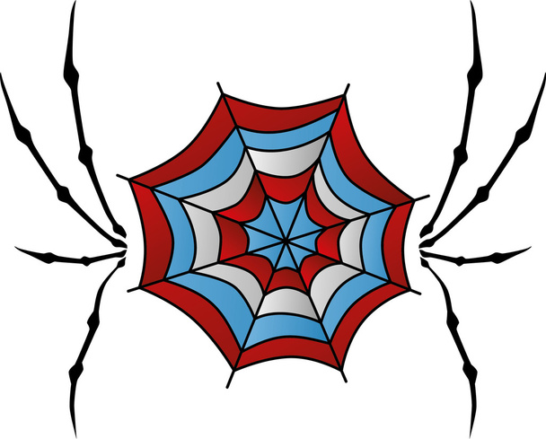 Buntes Spinnennetz - Vektor, Bild